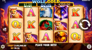 Wolf Gold, beste casino's, gratis spins