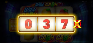 Wild Cash Bonus