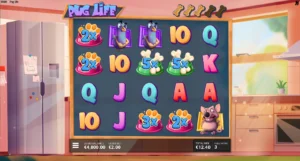 Pug Life slot Free Spins