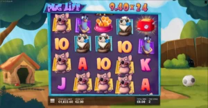 Pug Life slot Bonus