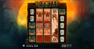 Wanted Dead or a Wild