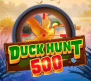 Duck Hunt 500