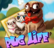 Pug Life